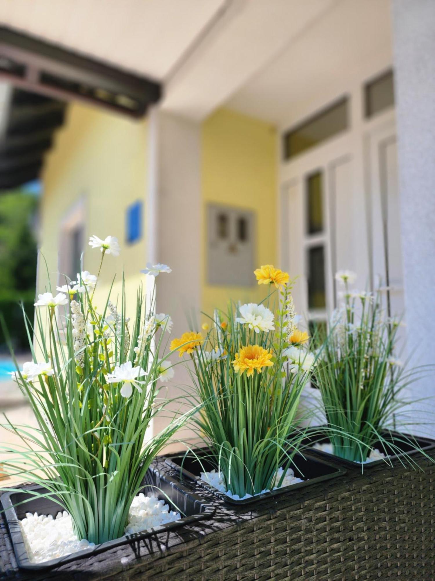 Villa Spa Magic Tuheljske Toplice Exterior foto